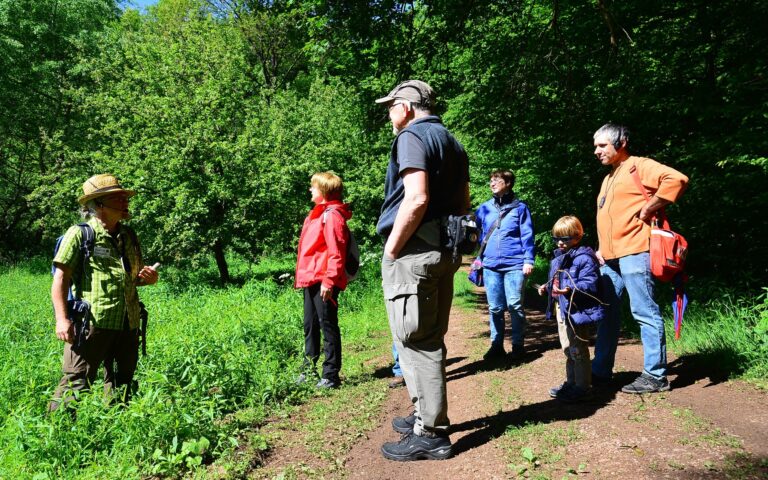 Gruppe von sechs Personen mit Wanderkleidung steht auf einem Waldweg, umgeben von dichtem Grün, eine Person hält einen Stock.