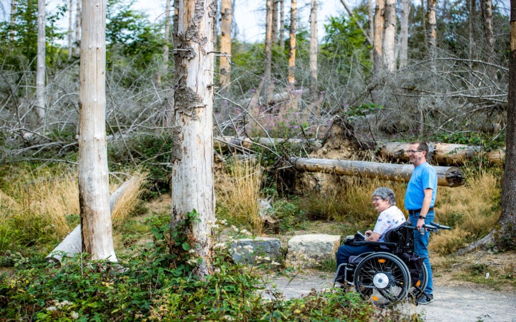 Im Vordergrund sitzt eine Person in einem Rollstuhl auf einem befestigten Weg, daneben steht eine weitere Person. Beide blicken in Richtung eines Waldes, der von abgestorbenen und umgestürzten Bäumen geprägt ist. Die Vegetation besteht aus Gras, Sträuchern und vereinzelten grünen Bäumen. Die Szene vermittelt einen Eindruck von Natur und Barrierefreiheit.